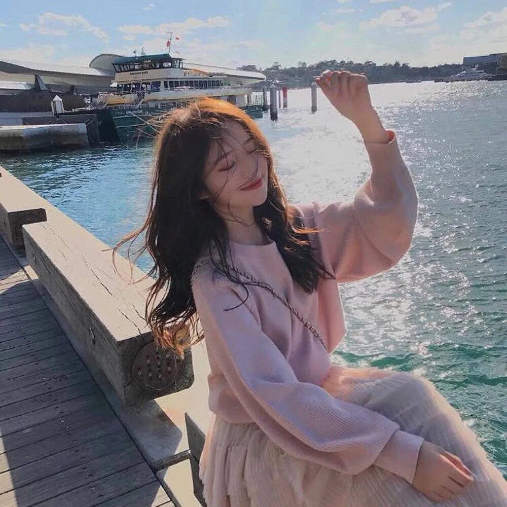 燕子盗